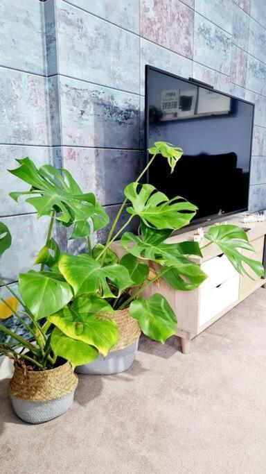 Stylish 2 Bedroom Apartment / Free Gated Parking 格拉斯哥 外观 照片